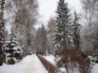 Nuitée adulte (hiver)
